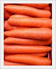 Fresh Carrot  Made in Korea